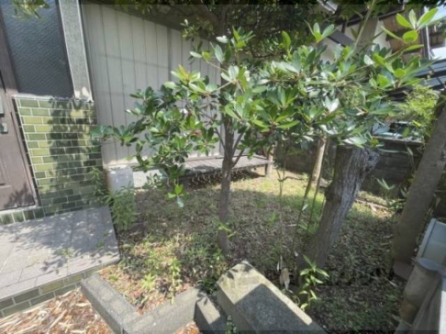 植栽