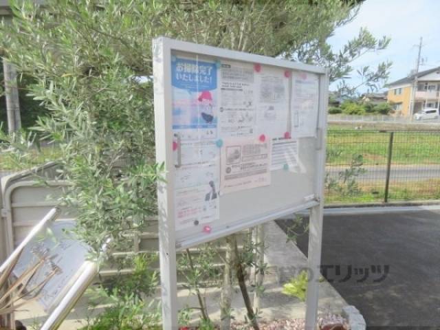 掲示板