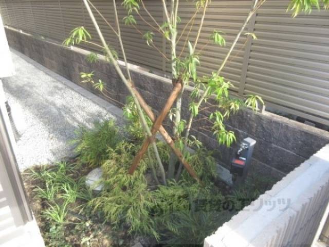 植栽