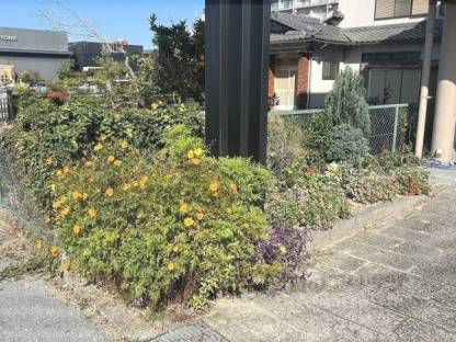 植栽
