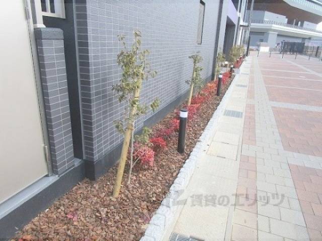 植栽