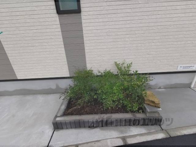 植栽
