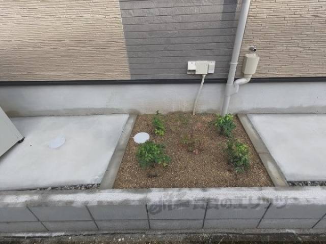 植栽