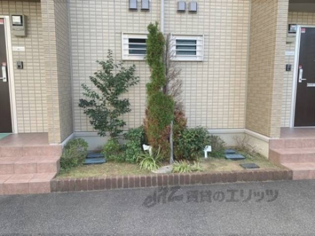 植栽