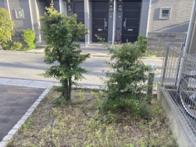植栽