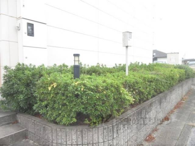 植栽