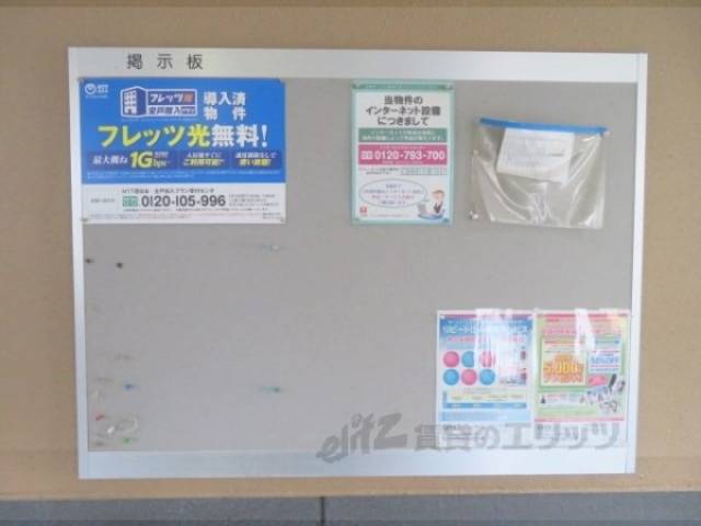 掲示板