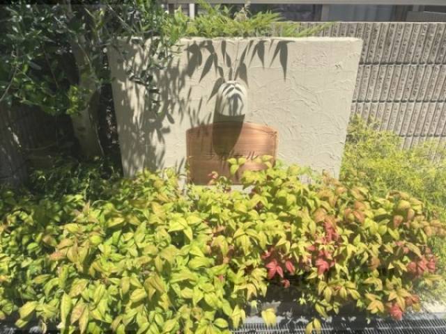 看板