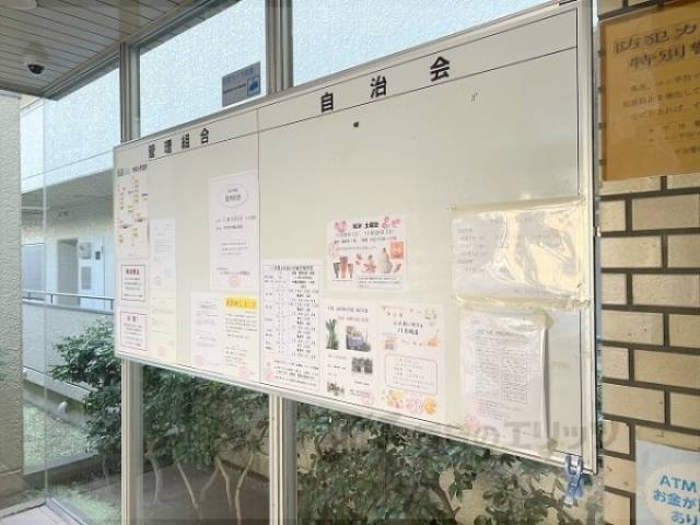 掲示板