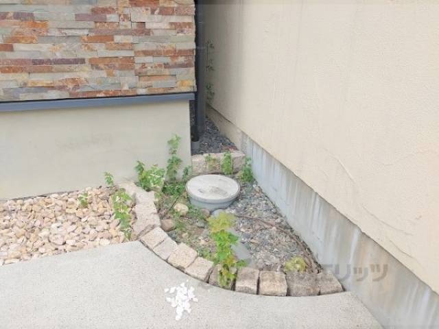 植栽