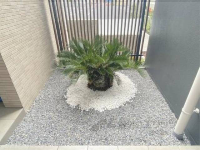 植栽