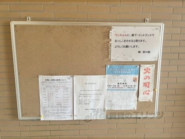 掲示板