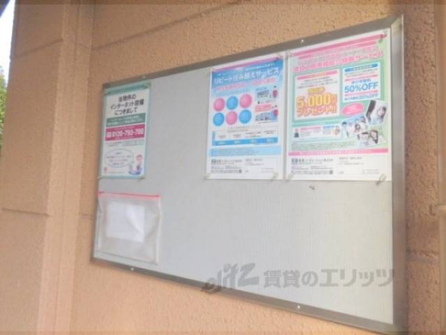 掲示板