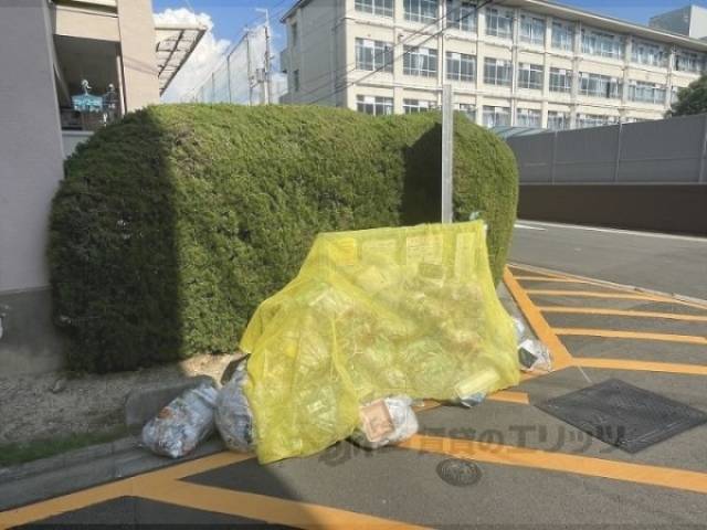 ゴミ置き場