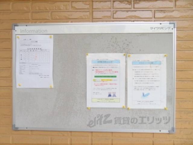 掲示板