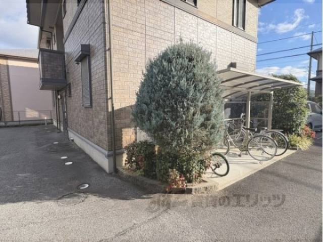 植栽