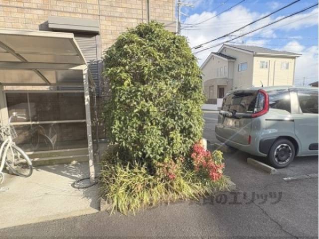 植栽