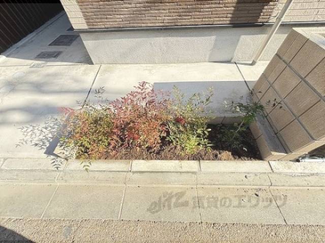 植栽