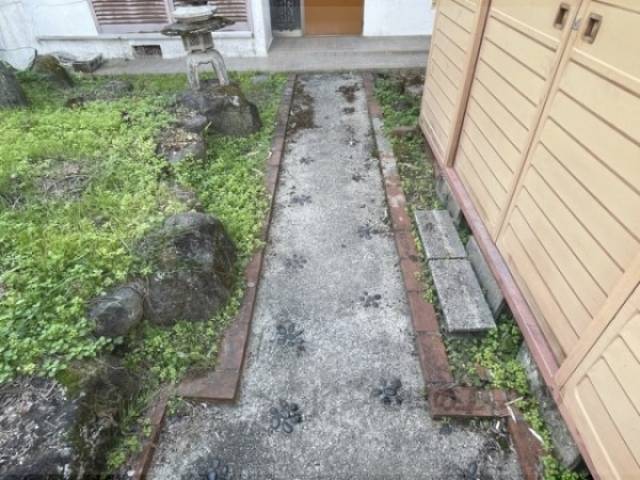 通路