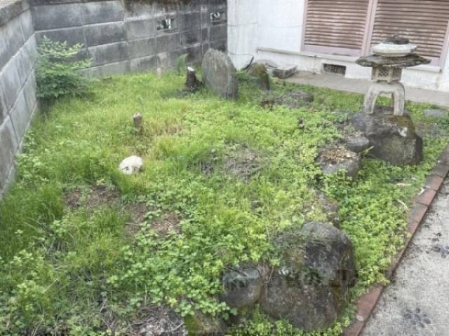 植栽
