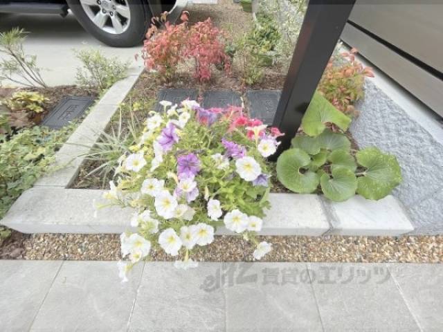 植栽