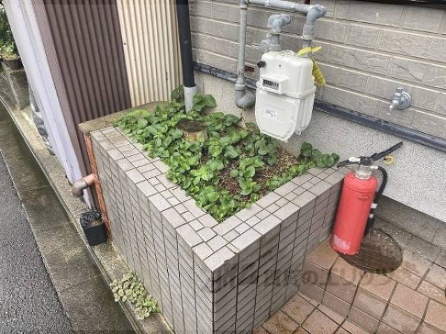 植栽