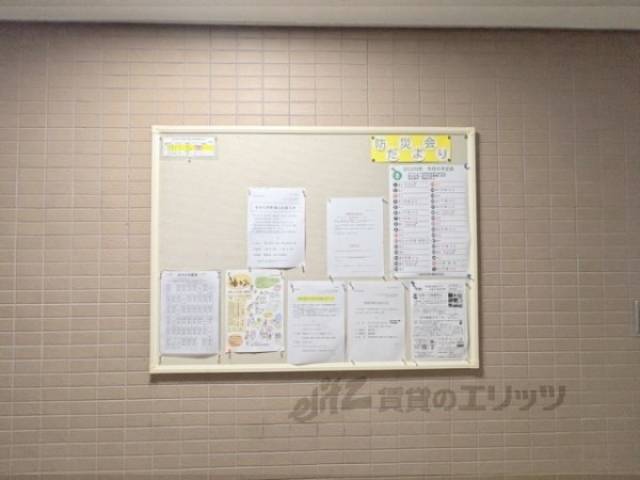掲示板