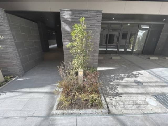 植栽