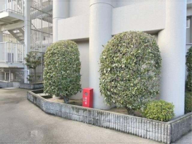 植栽