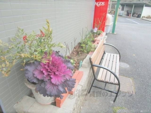ベンチ