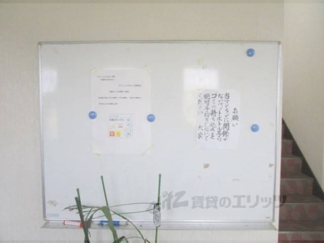 掲示板