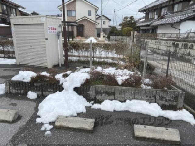 植栽