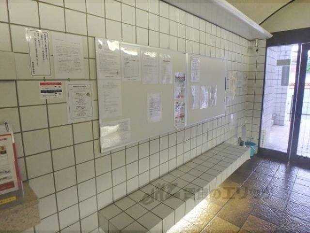 掲示板