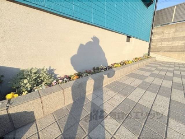 植栽