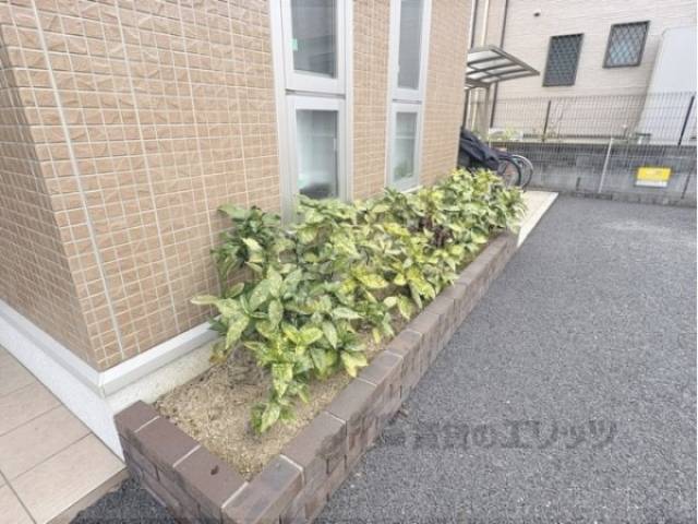 植栽