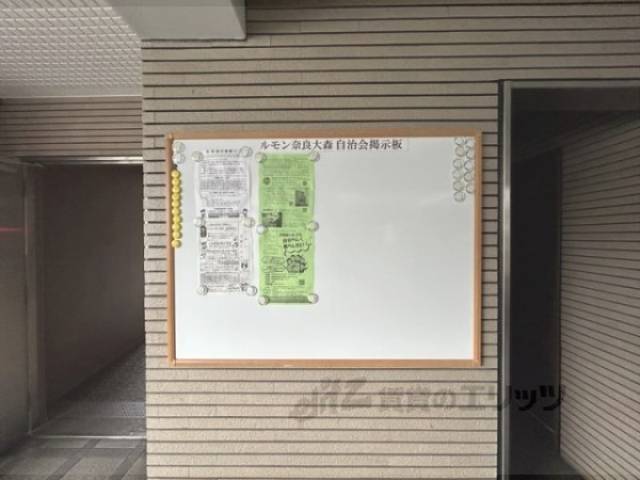 掲示板