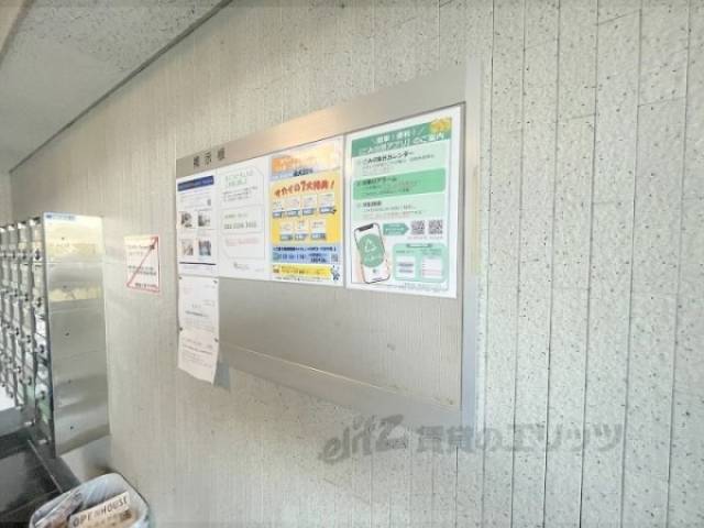 掲示板