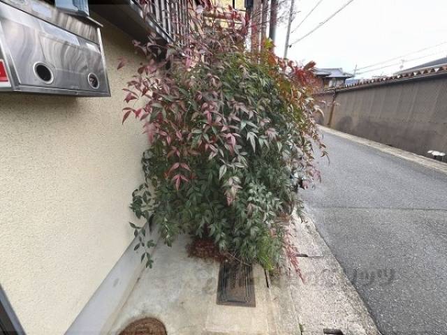 植栽