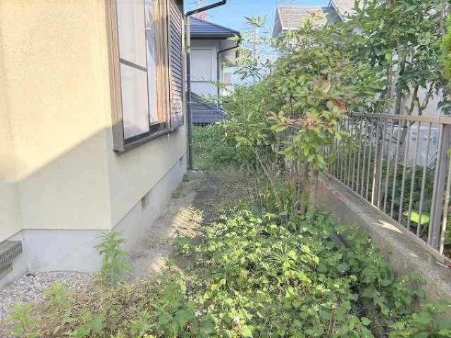 庭