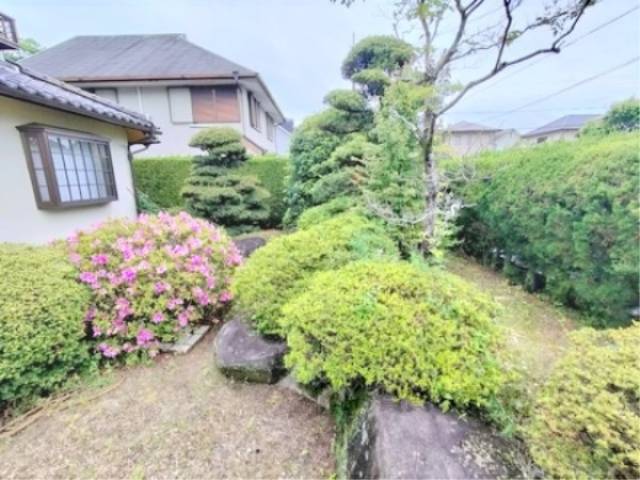 植栽