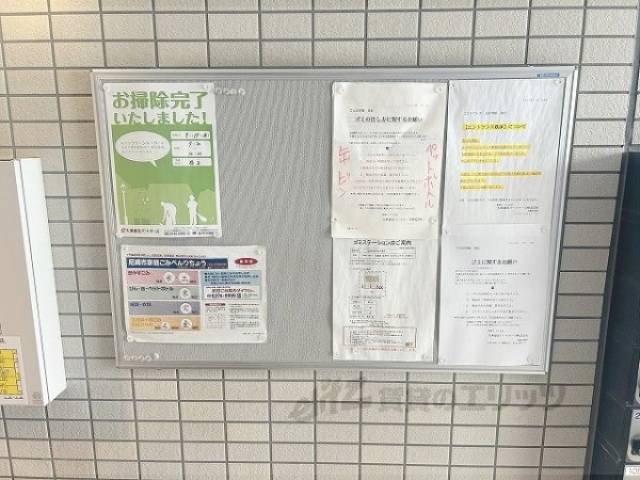 掲示板