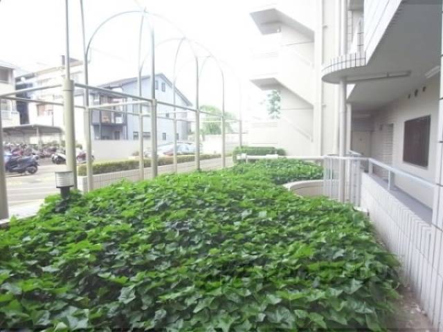 植栽