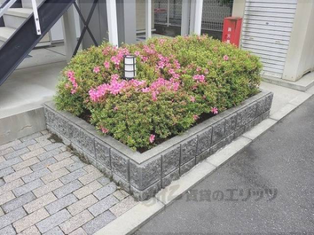植栽