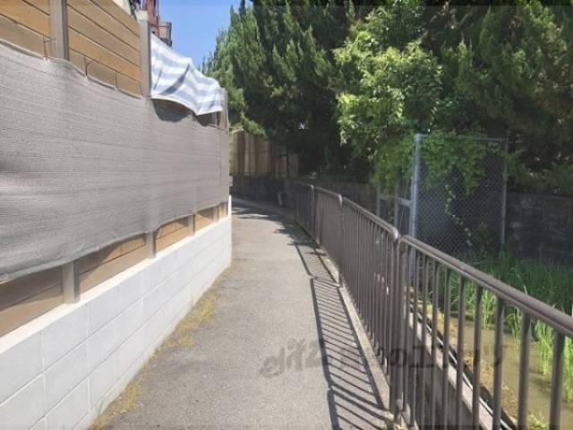 前面道路　小道東向き