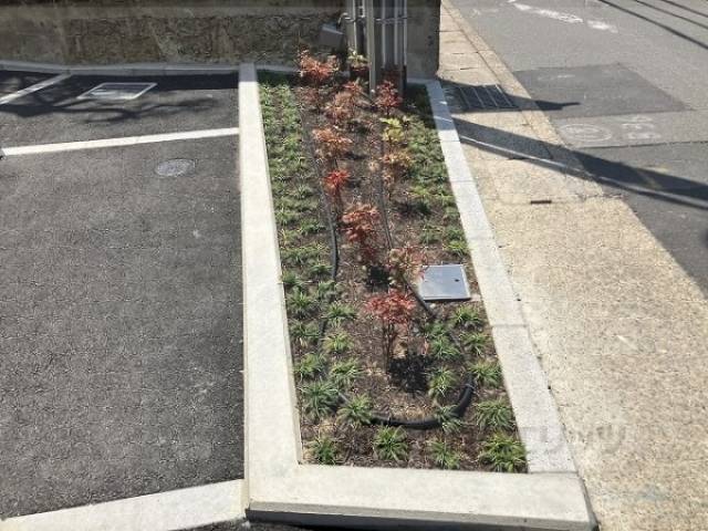 植栽