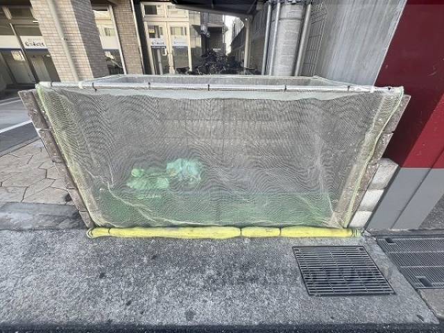 ゴミ置き場