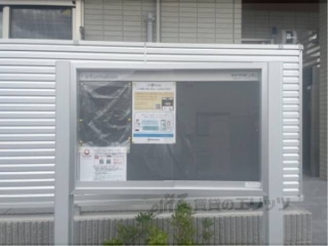 掲示板
