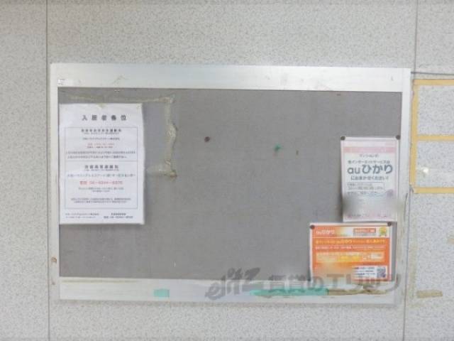 掲示板