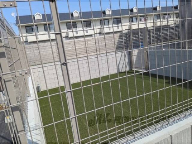 ドックランスペース