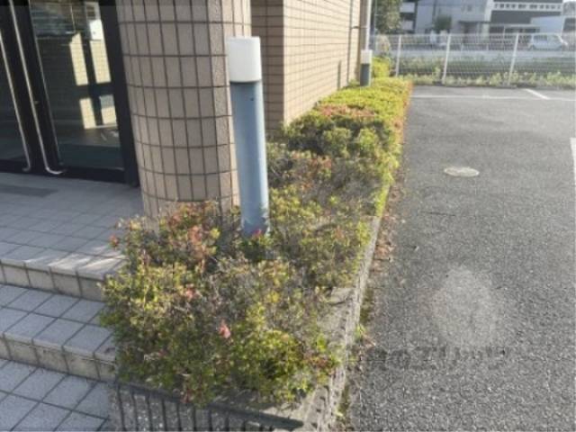 植栽